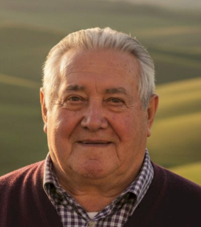 PASQUALE MARTINO