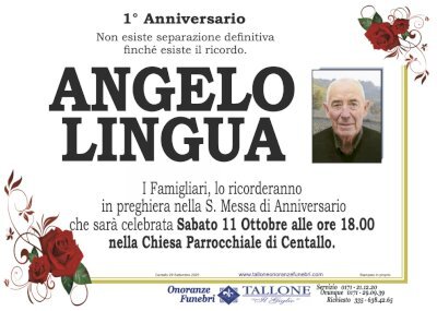 ANGELO LINGUA