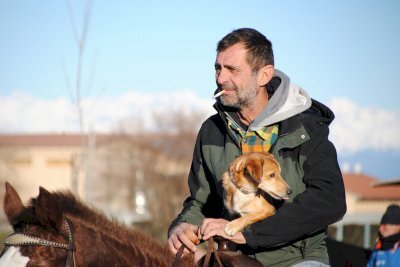 MAURO FINO