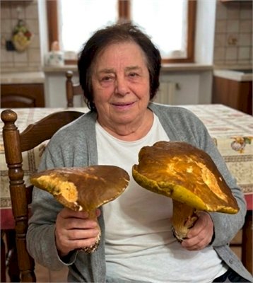TERESA PODESCHI