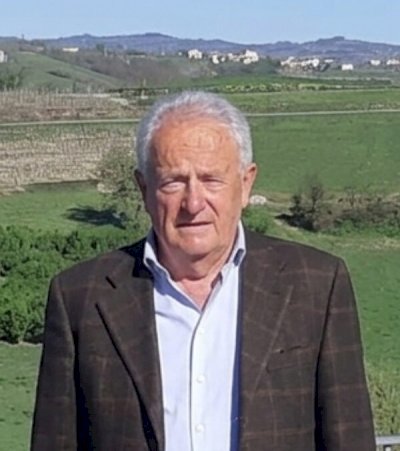 MICHELANGELO DEMARCHI