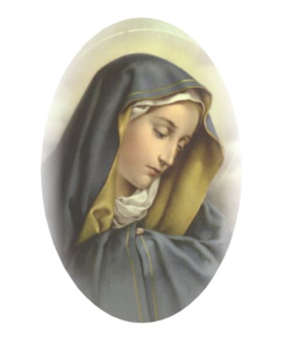 LUISA TRAINA
