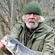 Necrologio di GIORGIO CILLO