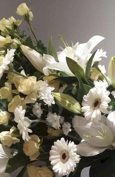 Necrologio di MARIA SIVIERO