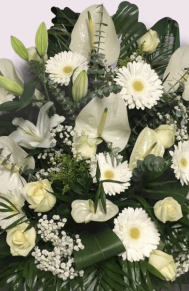 Necrologio di RIBOTTA LUCIA MARGHERITA