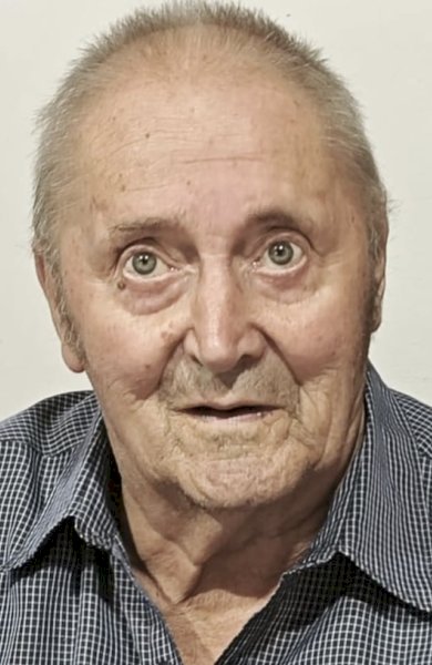 Necrologio di DOMENICO SOFFIETTI
