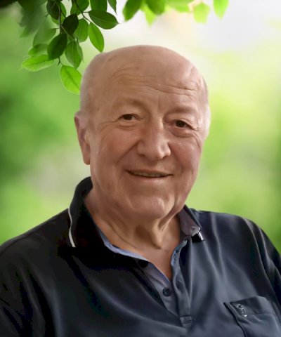  "LINO REGAIOLO IL RE DELLE PATATINE)"