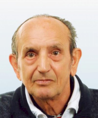DELFINO MOROSATO